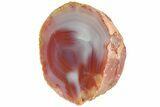 Colorful, Polished Patagonia Agate - Highly Fluorescent! #214920-1